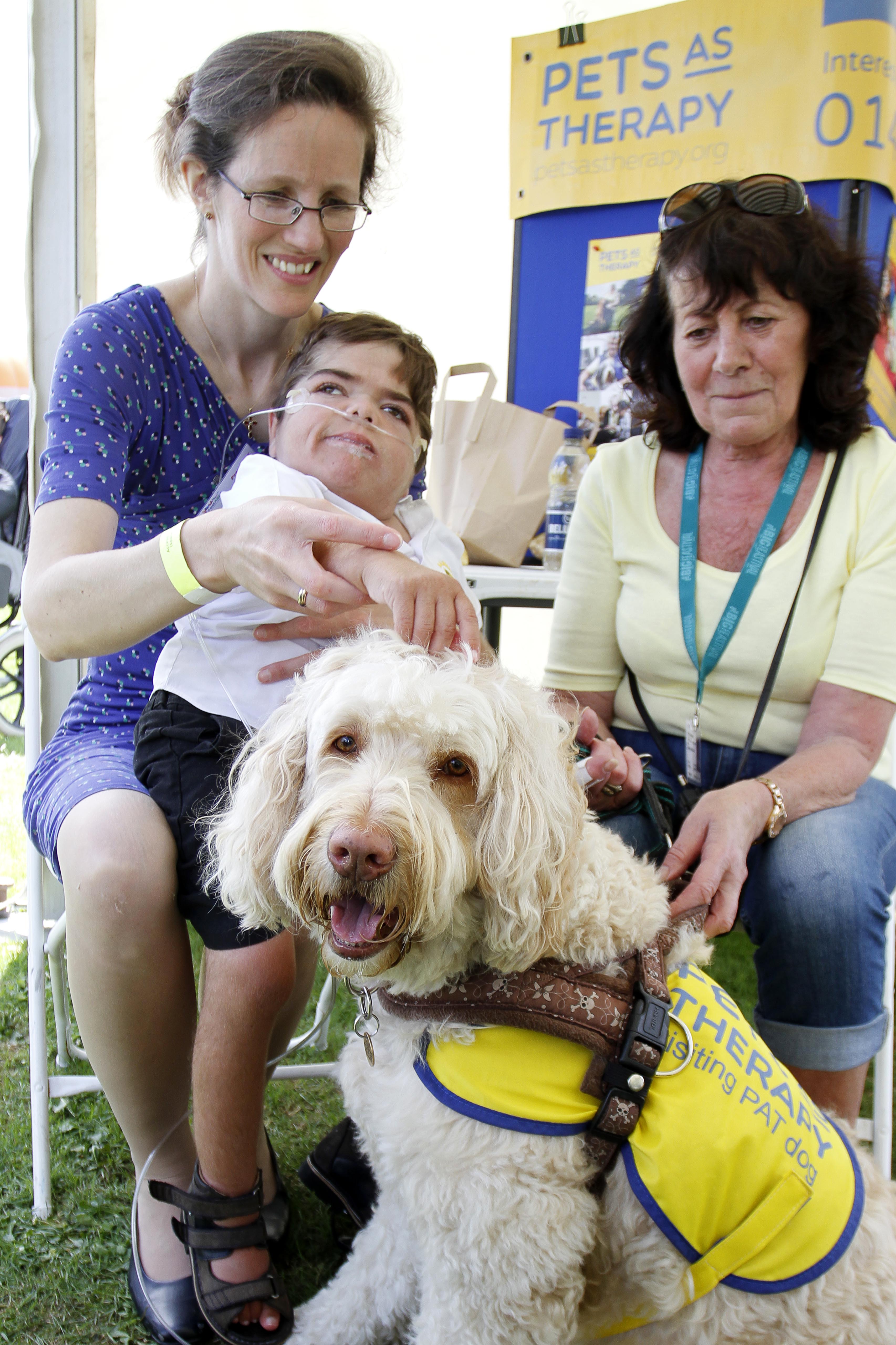 Puddles the Therapy Dog at FestABLE 2018